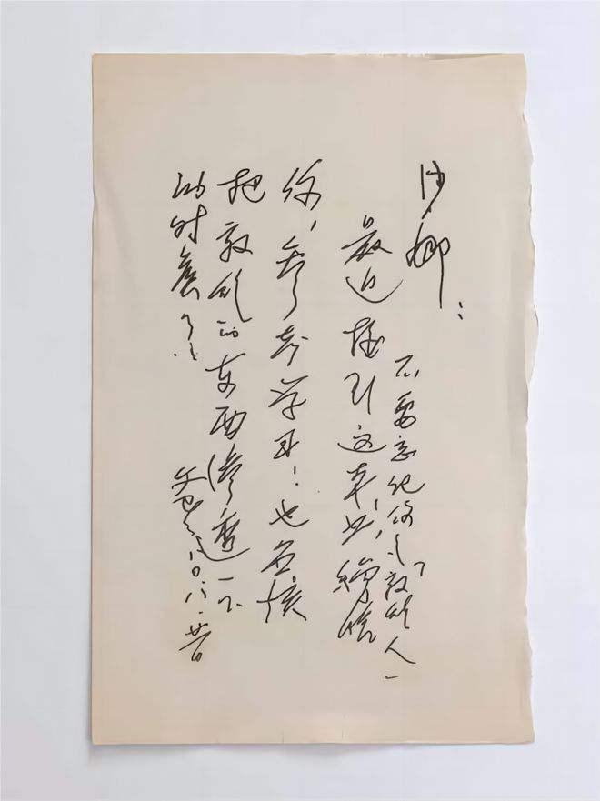 为春晚《年锦》手绘纹样93岁高龄的常沙娜她的艺术珍藏集终于来了！(图4)