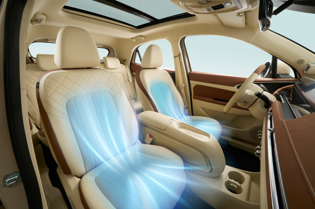 女性夏季出行好搭子即刻入手欧拉好猫开启精致生活(图2)