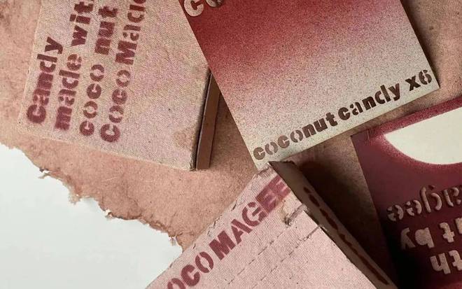 IPFM2024国际植物纤维纸浆模塑佛山展椰子纤维+纸浆(图1)