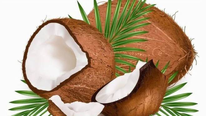 IPFM2024国际植物纤维纸浆模塑佛山展椰子纤维+纸浆(图3)