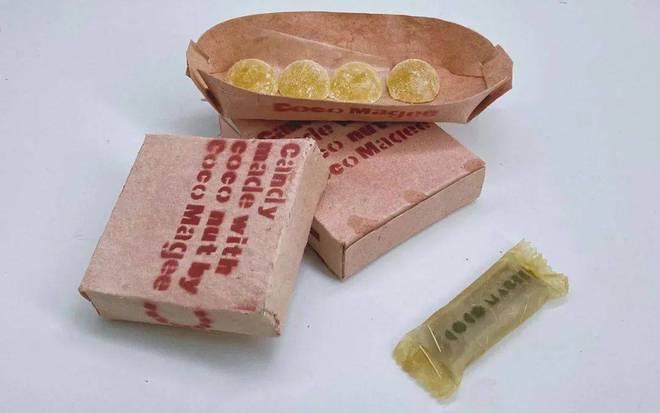 IPFM2024国际植物纤维纸浆模塑佛山展椰子纤维+纸浆(图4)