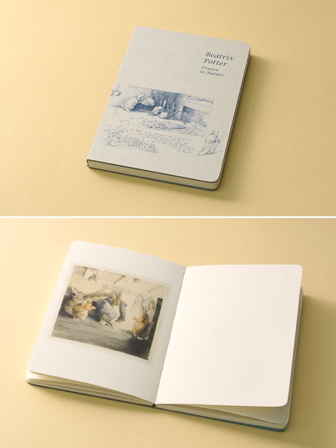 揭秘爆款畅销书《比得兔的世界》创作者19世纪独立女性代表独家限量新书礼盒！(图6)