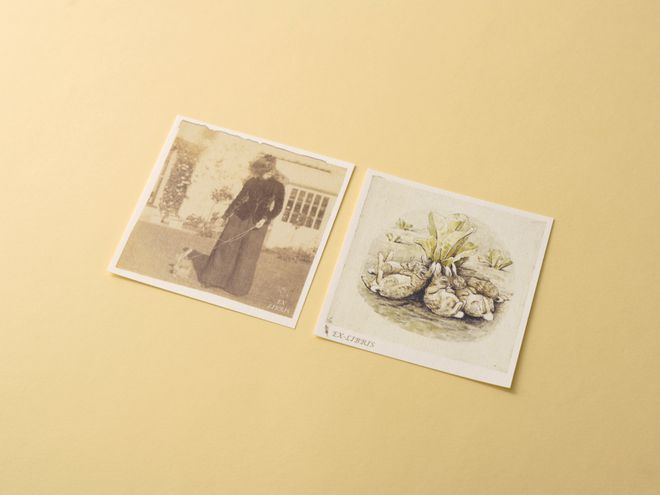 揭秘爆款畅销书《比得兔的世界》创作者19世纪独立女性代表独家限量新书礼盒！(图9)