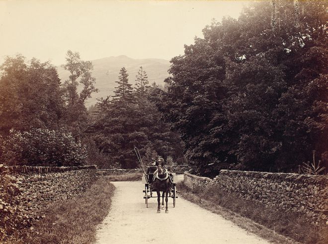 揭秘爆款畅销书《比得兔的世界》创作者19世纪独立女性代表独家限量新书礼盒！(图14)