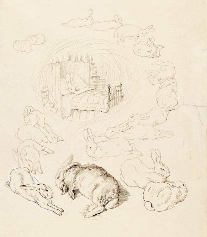 揭秘爆款畅销书《比得兔的世界》创作者19世纪独立女性代表独家限量新书礼盒！(图23)