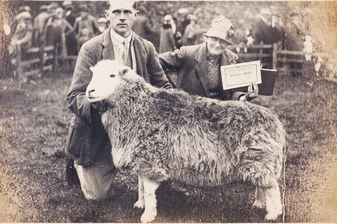 揭秘爆款畅销书《比得兔的世界》创作者19世纪独立女性代表独家限量新书礼盒！(图29)