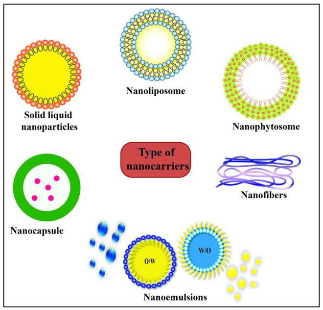 M6米乐平台：Polymers：“2023年度全球高被引科学家”编委文章精选(图2)