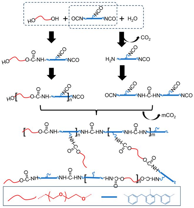 M6米乐平台：Polymers：“2023年度全球高被引科学家”编委文章精选(图1)
