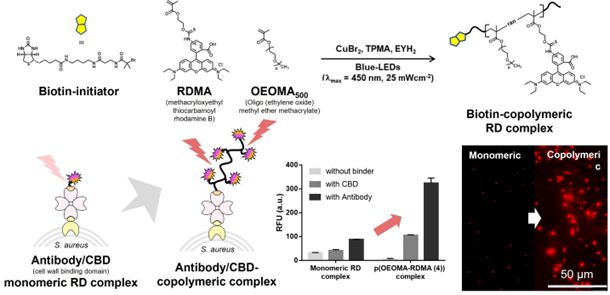 M6米乐平台：Polymers：“2023年度全球高被引科学家”编委文章精选(图5)