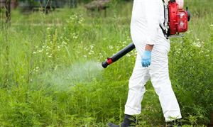 2024年中国EVA塑料行业的产业链供需布局及重点企业(图4)