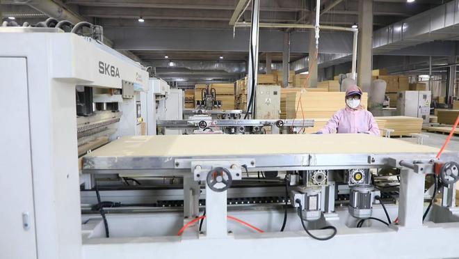 东营新材料产业“绿意盎然”为高质量发展注入新动力(图1)