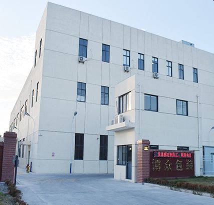 戈壁徒步到行业领跑者：王磊与博众包装的数字化突围之路(图1)