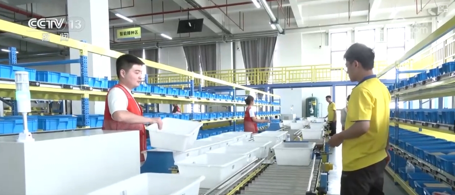 快递包裹“轻装上阵”中转环节循环包装实现全覆盖(图9)