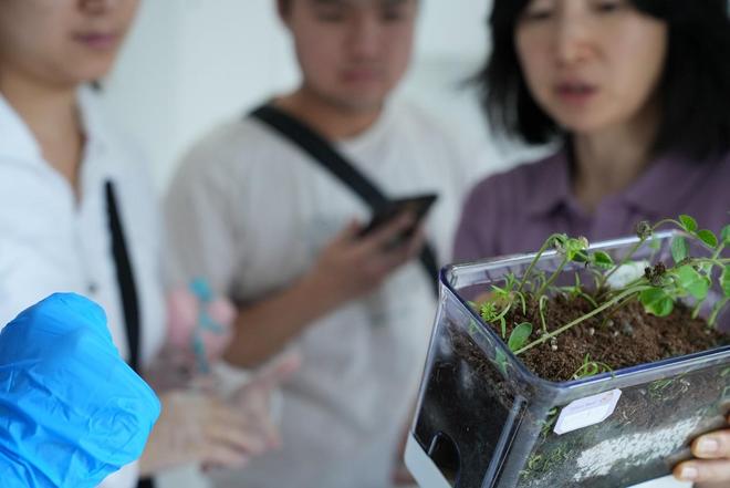 君臻生物：探索菌丝体材料高质量发展新赛道(图1)